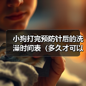小狗打完预防针后的洗澡时间表（多久才可以给小狗洗澡？预防针的影响和建议）(图1)