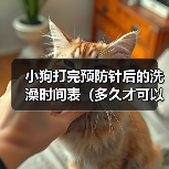 小狗打完预防针后的洗澡时间表（多久才可以给小狗洗澡？预防针的影响和建议）(图2)