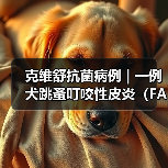 克维舒抗菌病例 | 一例犬跳蚤叮咬性皮炎(FAD)的病例分析(图1) 克维舒抗菌病例 | 一例犬跳蚤叮咬性皮炎(FAD)的病例分析(图1)