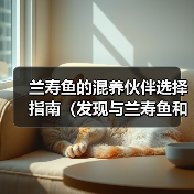 兰寿鱼的混养伙伴选择指南(发现与兰寿鱼和谐共处的鱼类伙伴)(图3) 兰寿鱼的混养伙伴选择指南(发现与兰寿鱼和谐共处的鱼类伙伴)(图3)