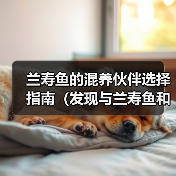 兰寿鱼的混养伙伴选择指南(发现与兰寿鱼和谐共处的鱼类伙伴)(图2) 兰寿鱼的混养伙伴选择指南(发现与兰寿鱼和谐共处的鱼类伙伴)(图2)