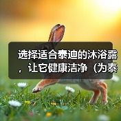 选择适合泰迪的沐浴露，让它健康洁净（为泰迪选择合适的沐浴露，关键是了解它的皮肤需求）(图3)