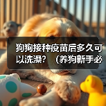 狗狗接种疫苗后多久可以洗澡？（养狗新手必知，打完针后的洗澡时间安排！）(图3)