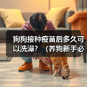 狗狗接种疫苗后多久可以洗澡？（养狗新手必知，打完针后的洗澡时间安排！）(图1)