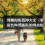 博美狗狗品种大全(掌握各种博美狗的特点和习性,选一只最适合你的小伙伴)(图1) 博美狗狗品种大全(掌握各种博美狗的特点和习性,选一只最适合你的小伙伴)(图1)