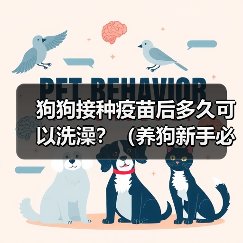 狗狗接种疫苗后多久可以洗澡？（养狗新手必知，打完针后的洗澡时间安排！）(图4)