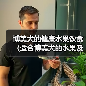 博美犬的健康水果饮食(适合博美犬的水果及其营养价值)(图3) 博美犬的健康水果饮食(适合博美犬的水果及其营养价值)(图3)