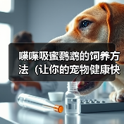 喋喋吸蜜鹦鹉的饲养方法（让你的宠物健康快乐生活）(图1)