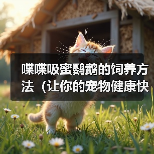 喋喋吸蜜鹦鹉的饲养方法（让你的宠物健康快乐生活）(图4)