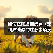 如何正确给猫洗澡(宠物猫洗澡的注意事项及步骤)(图2) 如何正确给猫洗澡(宠物猫洗澡的注意事项及步骤)(图2)