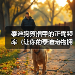 泰迪狗剪指甲的正确频率（让你的泰迪宠物拥有健康的爪子）(图3)
