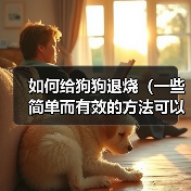 如何给狗狗退烧(一些简单而有效的方法可以帮助您降低狗狗的体温)(图2) 如何给狗狗退烧(一些简单而有效的方法可以帮助您降低狗狗的体温)(图2)