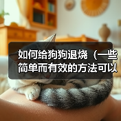 如何给狗狗退烧(一些简单而有效的方法可以帮助您降低狗狗的体温)(图4) 如何给狗狗退烧(一些简单而有效的方法可以帮助您降低狗狗的体温)(图4)