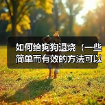 如何给狗狗退烧(一些简单而有效的方法可以帮助您降低狗狗的体温)(图1) 如何给狗狗退烧(一些简单而有效的方法可以帮助您降低狗狗的体温)(图1)