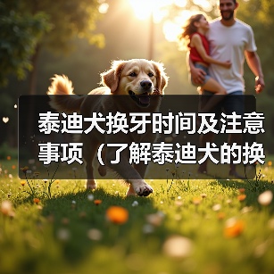 泰迪犬换牙时间及注意事项(了解泰迪犬的换牙周期,帮助它们健康成长)(图2) 泰迪犬换牙时间及注意事项(了解泰迪犬的换牙周期,帮助它们健康成长)(图2)