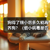 狗得了细小后多久能再养狗？（细小病毒是否会对新养的狗造成影响？）(图3)