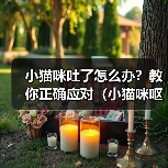 小猫咪吐了怎么办?教你正确应对(小猫咪呕吐原因及处理方法,保障爱宠健康)(图3) 小猫咪吐了怎么办?教你正确应对(小猫咪呕吐原因及处理方法,保障爱宠健康)(图3)