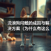 流浪狗问题的成因与解决方案(为什么有这么多流浪狗?如何解决流浪狗问题?)(图3) 流浪狗问题的成因与解决方案(为什么有这么多流浪狗?如何解决流浪狗问题?)(图3)