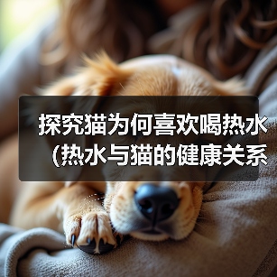 探究猫为何喜欢喝热水(热水与猫的健康关系探讨)(图4) 探究猫为何喜欢喝热水(热水与猫的健康关系探讨)(图4)