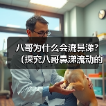 八哥为什么会流鼻涕?(探究八哥鼻涕流动的原因及预防方法)(图3) 八哥为什么会流鼻涕?(探究八哥鼻涕流动的原因及预防方法)(图3)