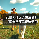 八哥为什么会流鼻涕?(探究八哥鼻涕流动的原因及预防方法)(图1) 八哥为什么会流鼻涕?(探究八哥鼻涕流动的原因及预防方法)(图1)