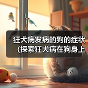 狂犬病发病的狗的症状（探索狂犬病在狗身上的表现及相关预防措施）(图3)