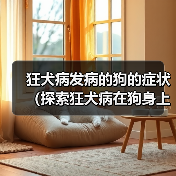 狂犬病发病的狗的症状（探索狂犬病在狗身上的表现及相关预防措施）(图4)