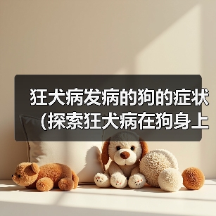 狂犬病发病的狗的症状（探索狂犬病在狗身上的表现及相关预防措施）(图1)