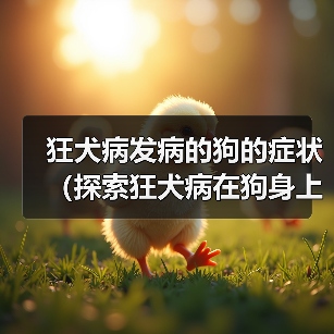 狂犬病发病的狗的症状（探索狂犬病在狗身上的表现及相关预防措施）(图2)