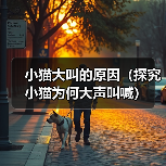 小猫大叫的原因(探究小猫为何大声叫喊)(图1) 小猫大叫的原因(探究小猫为何大声叫喊)(图1)