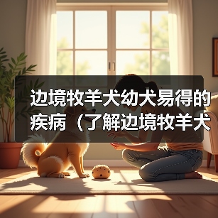 边境牧羊犬幼犬易得的疾病(了解边境牧羊犬幼犬常见疾病及预防措施)(图1) 边境牧羊犬幼犬易得的疾病(了解边境牧羊犬幼犬常见疾病及预防措施)(图1)