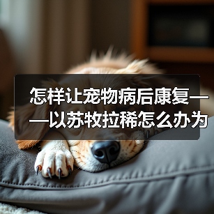 怎样让宠物病后康复——以苏牧拉稀怎么办为例(如何护理宠物、注意事项及饮食建议)(图1) 怎样让宠物病后康复——以苏牧拉稀怎么办为例(如何护理宠物、注意事项及饮食建议)(图1)
