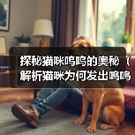 探秘猫咪呜呜的奥秘(解析猫咪为何发出呜呜声)(图2) 探秘猫咪呜呜的奥秘(解析猫咪为何发出呜呜声)(图2)
