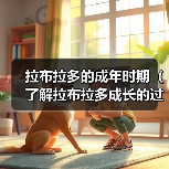 拉布拉多的成年时期(了解拉布拉多成长的过程,让它健康快乐地成年)(图1) 拉布拉多的成年时期(了解拉布拉多成长的过程,让它健康快乐地成年)(图1)