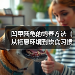 凹甲陆龟的饲养方法（从栖息环境到饮食习惯，全面了解凹甲陆龟饲养方法）(图1)