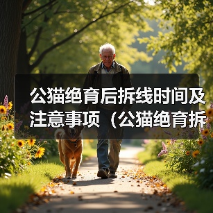 公猫绝育后拆线时间及注意事项（公猫绝育拆线时间及预防感染关键要素）(图1)