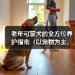 老年可蒙犬的全方位养护指南（以宠物为主，为老年可蒙犬提供健康的衣食住行）(图2)