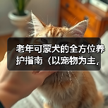 老年可蒙犬的全方位养护指南（以宠物为主，为老年可蒙犬提供健康的衣食住行）(图3)