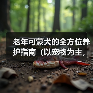 老年可蒙犬的全方位养护指南（以宠物为主，为老年可蒙犬提供健康的衣食住行）(图4)