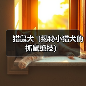 猎鼠犬(揭秘小猎犬的抓鼠绝技)(图3) 猎鼠犬(揭秘小猎犬的抓鼠绝技)(图3)