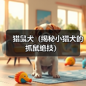 猎鼠犬(揭秘小猎犬的抓鼠绝技)(图4) 猎鼠犬(揭秘小猎犬的抓鼠绝技)(图4)