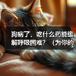 狗病了,吃什么药能缓解呼吸困难?(为你的宠物提供安全有效的治疗方案)(图2) 狗病了,吃什么药能缓解呼吸困难?(为你的宠物提供安全有效的治疗方案)(图2)
