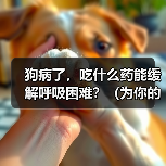 狗病了,吃什么药能缓解呼吸困难?(为你的宠物提供安全有效的治疗方案)(图3) 狗病了,吃什么药能缓解呼吸困难?(为你的宠物提供安全有效的治疗方案)(图3)