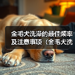 金毛犬洗澡的最佳频率及注意事项（金毛犬洗澡的时间间隔和洗澡前后的护理方法）(图3)