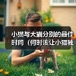 小猫与大猫分别的最佳时间(何时该让小猫独立出去?)(图4) 小猫与大猫分别的最佳时间(何时该让小猫独立出去?)(图4)