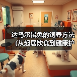 达乌尔鼠兔的饲养方法(从起居饮食到健康护理,这些你都需要知道!)(图1) 达乌尔鼠兔的饲养方法(从起居饮食到健康护理,这些你都需要知道!)(图1)