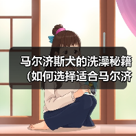 马尔济斯犬的洗澡秘籍(如何选择适合马尔济斯犬的香波)(图2) 马尔济斯犬的洗澡秘籍(如何选择适合马尔济斯犬的香波)(图2)