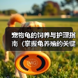 宠物龟的饲养与护理指南(掌握龟养殖的关键技巧,让你的宠物龟健康成长)(图1) 宠物龟的饲养与护理指南(掌握龟养殖的关键技巧,让你的宠物龟健康成长)(图1)