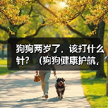 狗狗两岁了，该打什么针？（狗狗健康护航，重要疫苗你了解吗？）(图4)