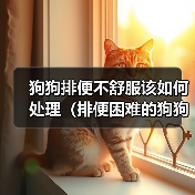 狗狗排便不舒服该如何处理(排便困难的狗狗需要怎样的治疗)(图1) 狗狗排便不舒服该如何处理(排便困难的狗狗需要怎样的治疗)(图1)